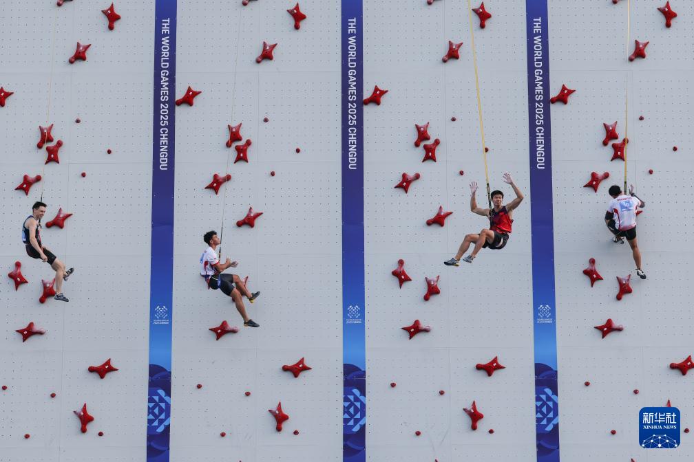 tenan, 选手海布林