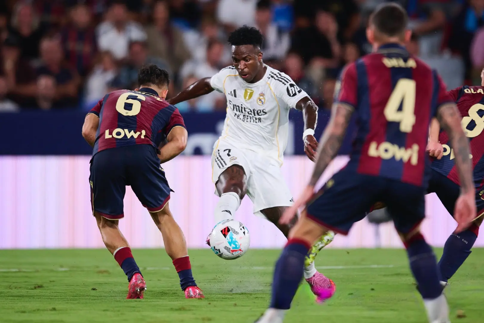 入网, 志再起, entit